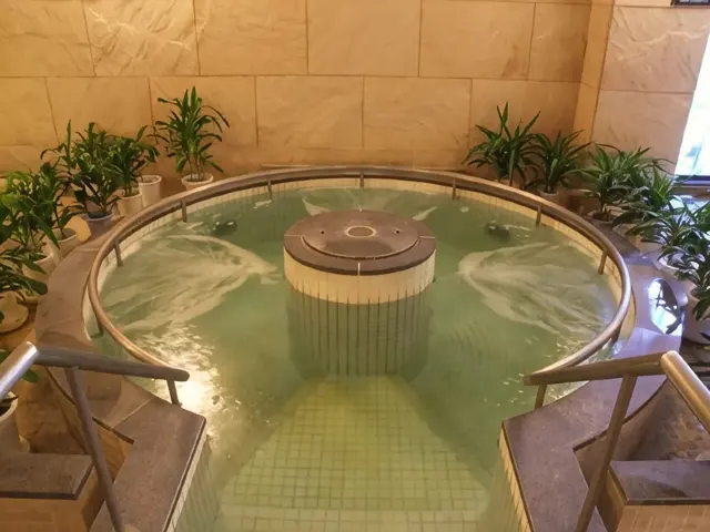 메이플 아리마