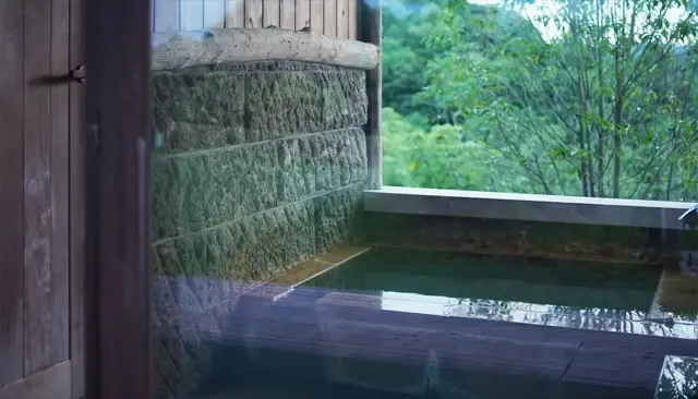 텐쿠노모리